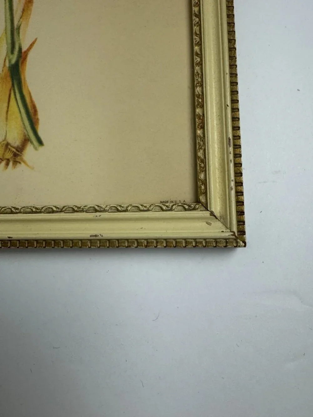 Vintage Miss S.A.Drake Epidendrum Vitellinum Flower Framed Botanical Watercolour